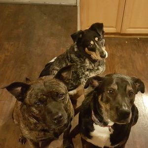 Meet your Posher, Heather